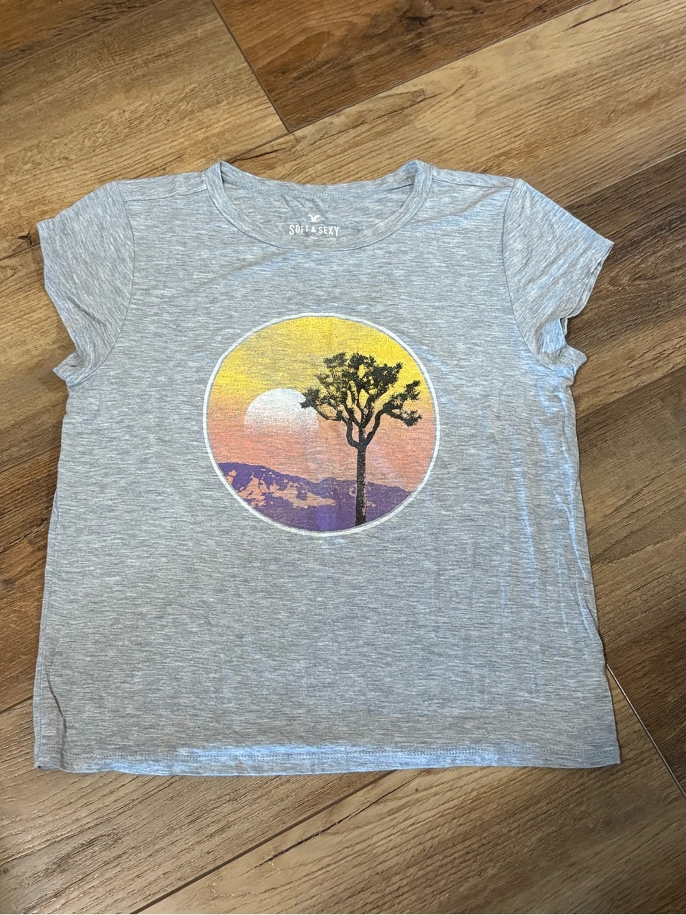 American Eagle Soft & Sexy Graphic Tee